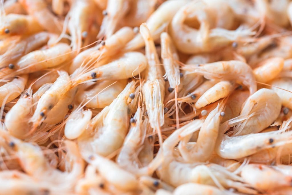 is shrimp vegan food