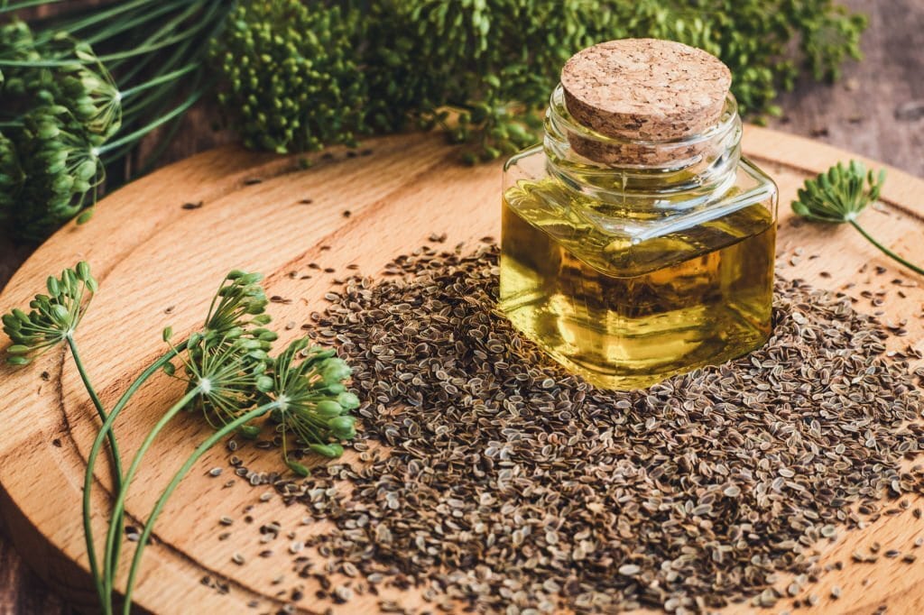what are dill weed health benefits