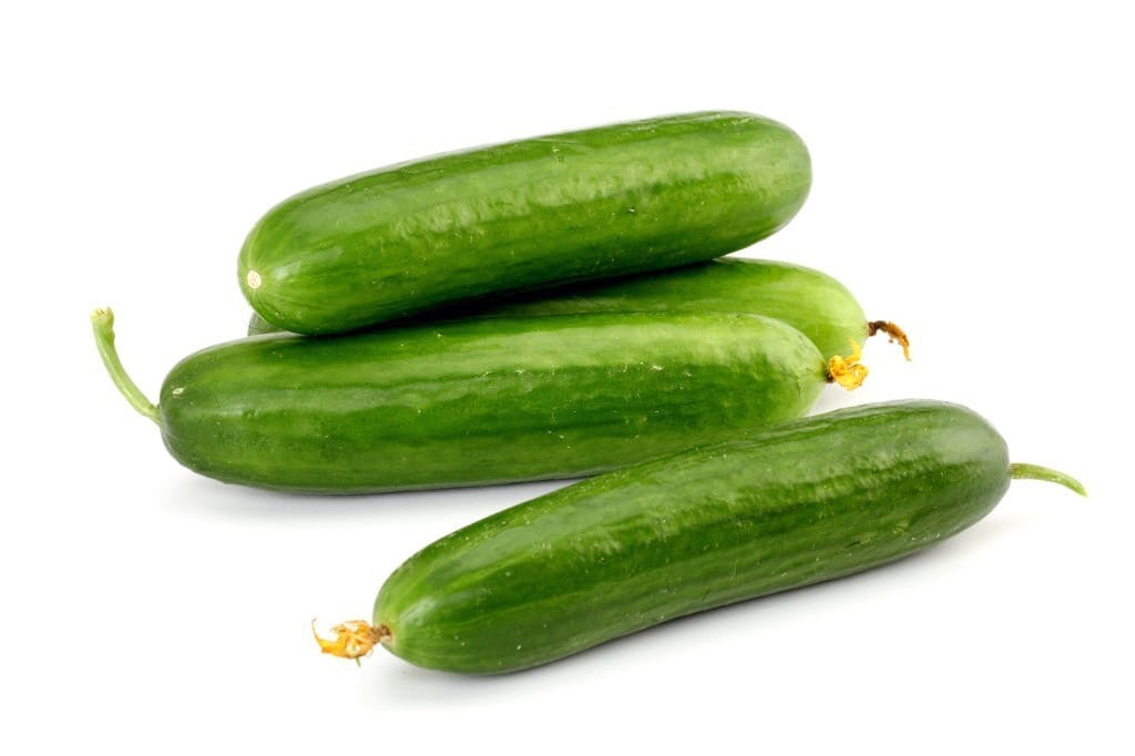 Cucumber Varieties
